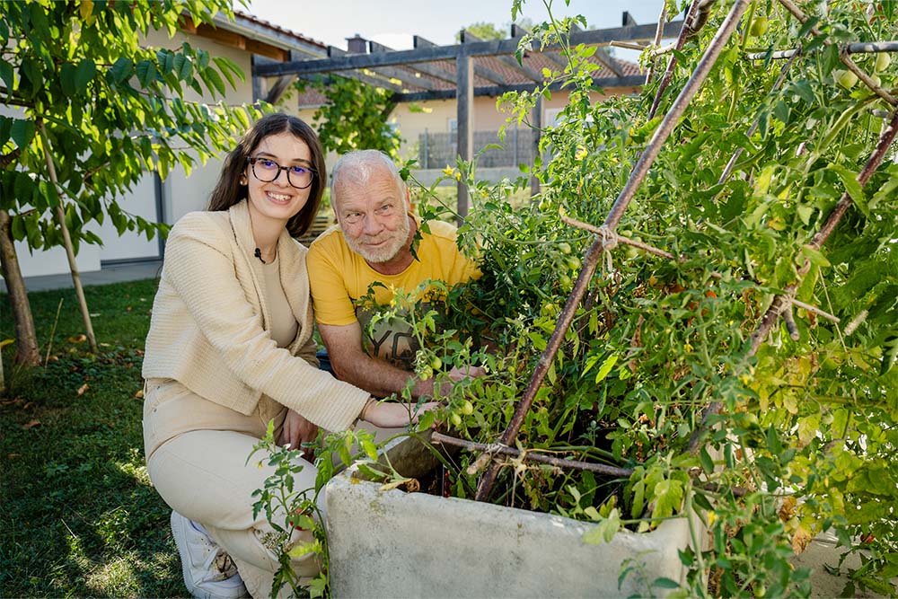 Die Lebenshilfe Niederösterreich